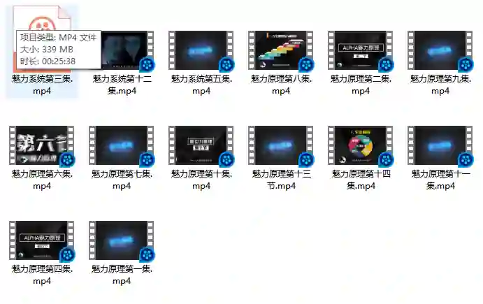 柯李思Chris良叔《魅力原理》实战指南|限时揭秘专属魅力公式-心途成长社