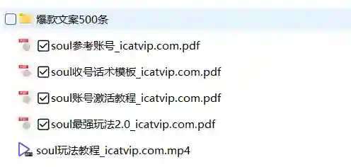 Soul最新玩法实战指南:500条爆款文案限时揭秘-心途成长社