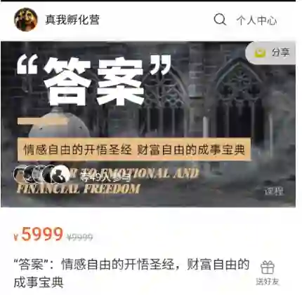 《“答案”实战指南》:情感自由×财富自由的开悟圣经(2024专属版)-心途成长社