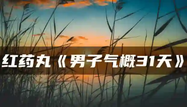 红色药丸《男子气概31天》实战指南：限时揭秘专属成长路径-心途成长社