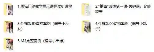 黑猫门徒核心课实战指南：限时揭秘专属成长路径-心途成长社