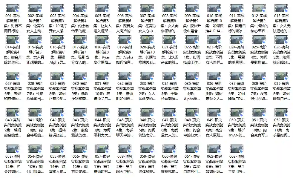 瑞恩自然之道Plus实战指南｜价值12800元专属揭秘版【完结】-心途成长社