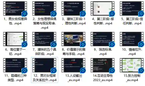 Leon情感5.0实战指南：限时揭秘专属情感提升术-心途成长社